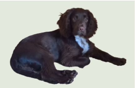 Security, Snacks, Naps